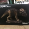 rebor-baby-triceratops-hazelnut-000