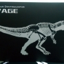 rebor-ceratosaurus-dentisulcatus-savage-000