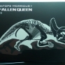 rebor-triceratops-horridus-fallen-queen-000