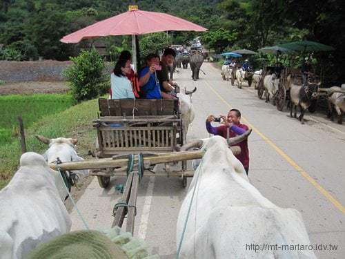 travels-chiang-mai-053