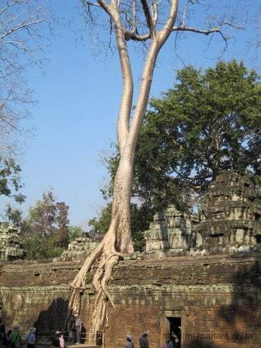 Travels-Angkor-Wat-104