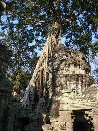 Travels-Angkor-Wat-108