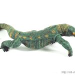 動物模型：Komodo Dragon(科莫多龍)
