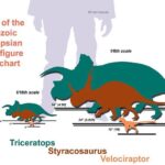 模型新品：Beasts of the Mesozoic-Ceratopsian Series(角龍系列) 預告