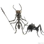 奇幻模型：Sazen(蝸之殼)-Ant Soldiers(蟻兵)